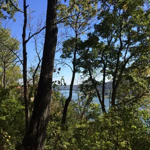 Overlook of the Ohio River