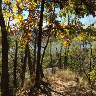 Overlook of the Ohio River