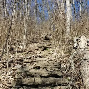 Check out these pics to get on Bender Trail