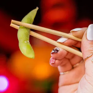sushi and sashimi