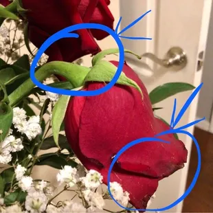 By day five, a 1/3 of flowers had droopy neck from being so old. Bruising all over the petals that should have been removed before delivery.