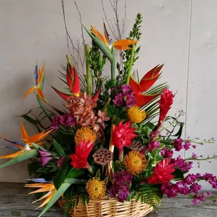 Tropical Masterpieces