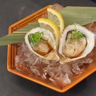 kusshi oyster