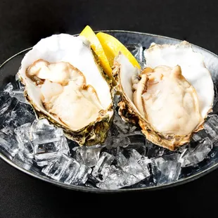 fresh oyster