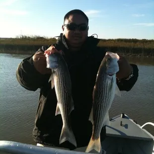 Vallejo Striper
