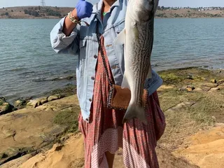 Norm's Bait & Tackle