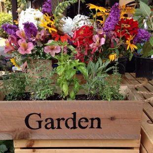 Lots of different plant vendors