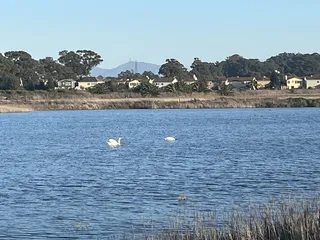 Mare Island San Pablo Bay Trail