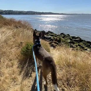 Great place to walk, bike, picnic, etc.