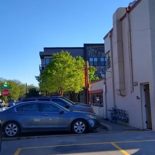 Love this tree outside Benito's!