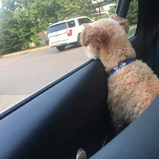 Waiting for carry out