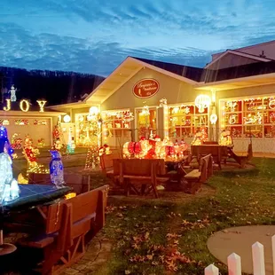 Beautiful Christmas display!