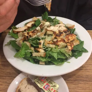 Chicken Salad
