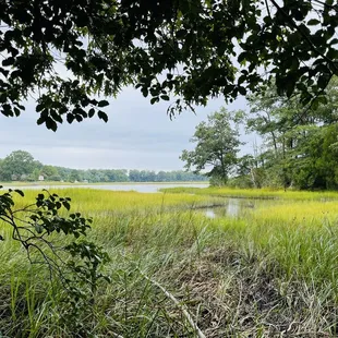 Lake