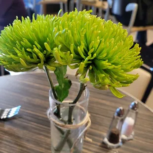 Every table had beautiful mums
