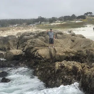 Matt S.