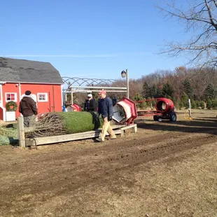 Tree shaker, tree baler, they'll even drill a hole in the bottom if you have a drilled stand!