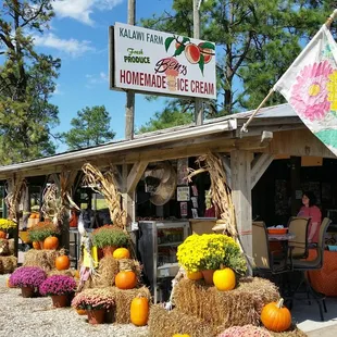 a display of pumpkins and flowers