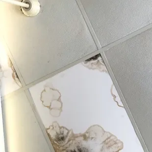 Mold mildew