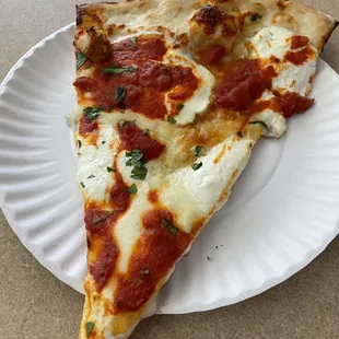 Margherita Pizza Slice