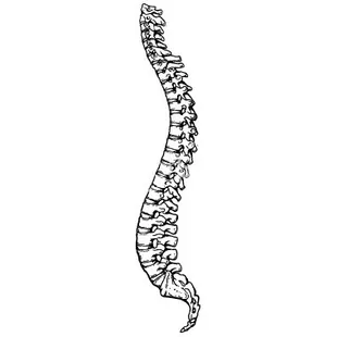 Benson Chiropractic Clinic, PC