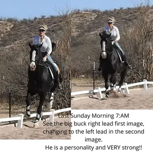 Training the flying change, from the right lead to the left lead. Beaufire  argued and gave me a huge buck!!  But I got it done, Smiles!!