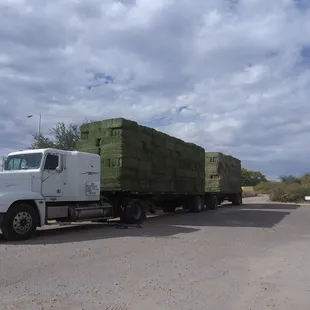 Fresh hay