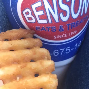 Seasoned Curly Fries