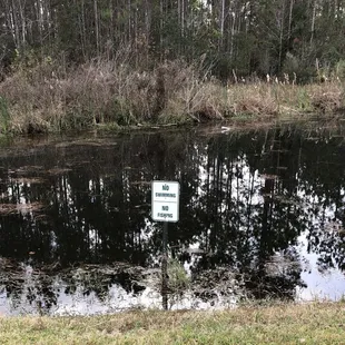 But it looks so inviting........