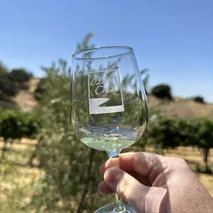 Complimentary chardonnay. Delicious too!