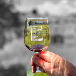 a hand holding a wine glass