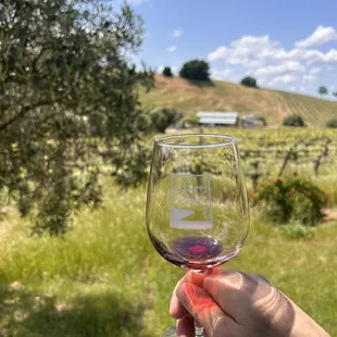 a hand holding a glass of wine