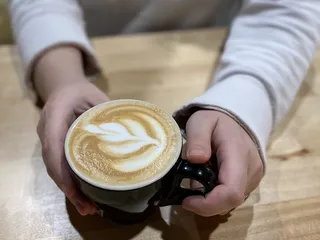 Coffee Central Squared - Hernando