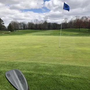 8 Green