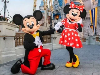 24/7 Travel & Vacations by Dream Vacations