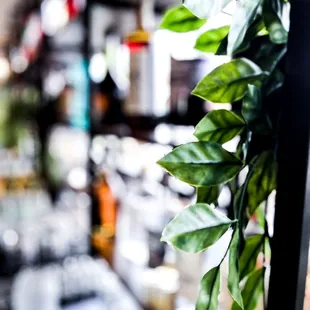 a view of the bar