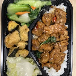 Bento Box