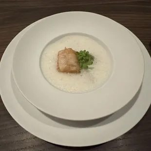 Shark Fin Soup