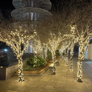 Christmas lights at the plaza