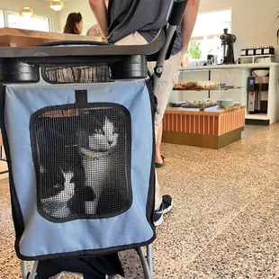 Waiting in line for our cappuchino