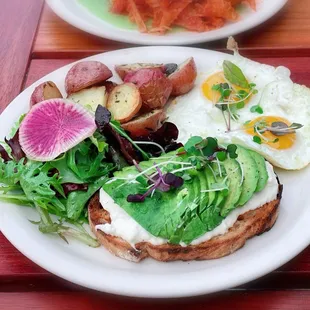 Avocado Toast (burrata, sunny side eggs, salad)