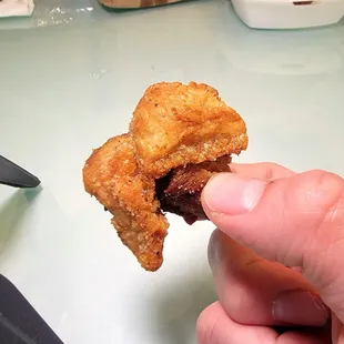 a hand holding a piece of fried chicken