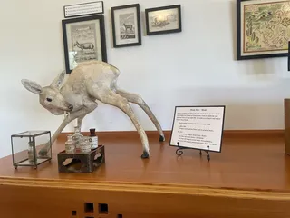 Aftel Archive of Curious Scents