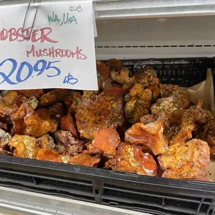 Berkeley bowl mushrooms