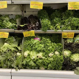 Lettuce is expensive!