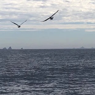 It was a beautiful day. Everything else the skipper and crew had influence over, not so much.