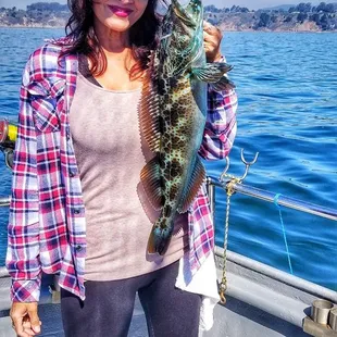 Pretty blue cod i caught salmon fishing...extra treat for me...i name him Taco...he will be yummy