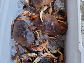 Happy Hooker Sportfishing