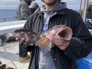 New Huck Finn Sportfishing