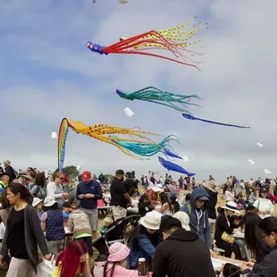 Make your own free kite area #BerkeleyKiteFestival